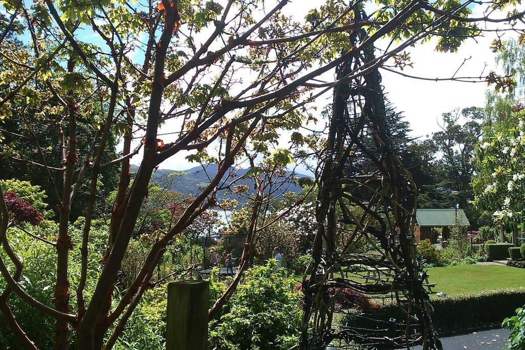 但尼丁Restview住宿加早餐旅馆 外观 照片